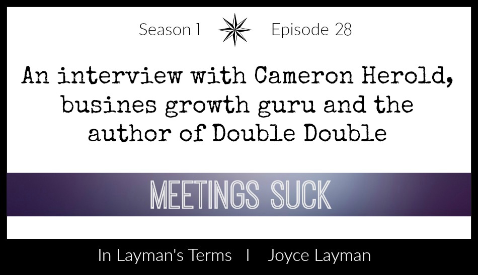 Episode 28 – Meetings Suck